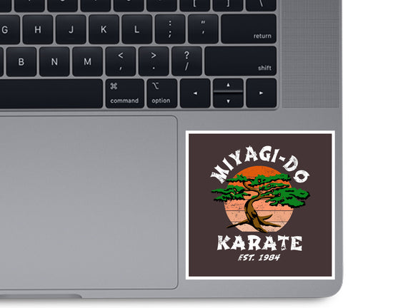 Miyagi Karate