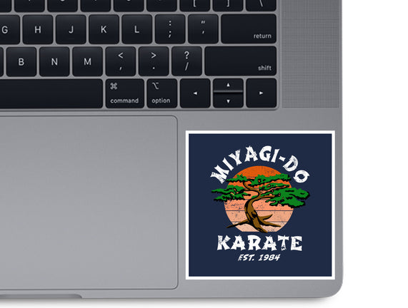 Miyagi Karate