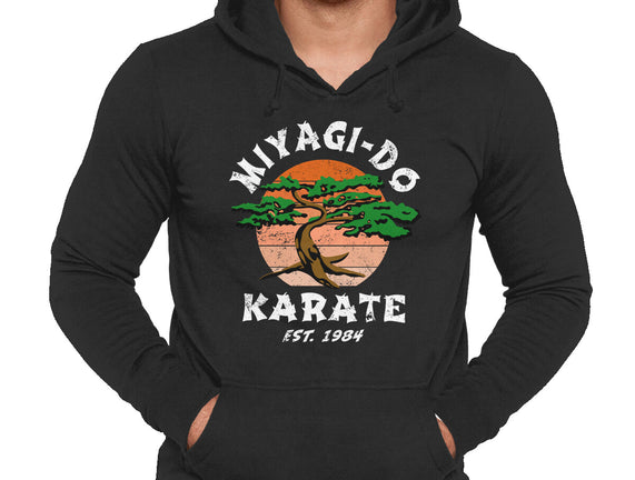 Miyagi Karate