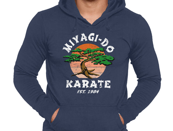 Miyagi Karate