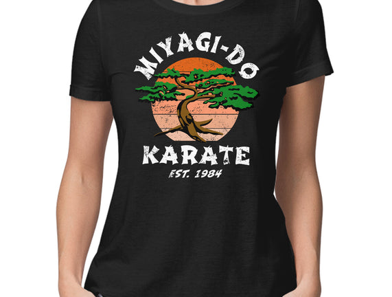 Miyagi Karate