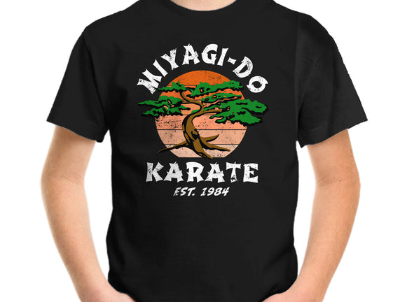 Miyagi Karate