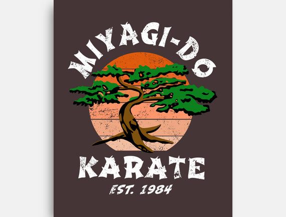 Miyagi Karate