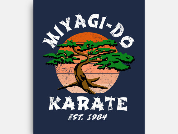 Miyagi Karate