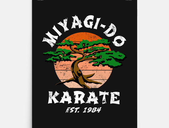 Miyagi Karate