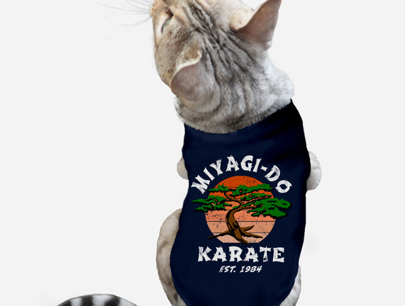 Miyagi Karate