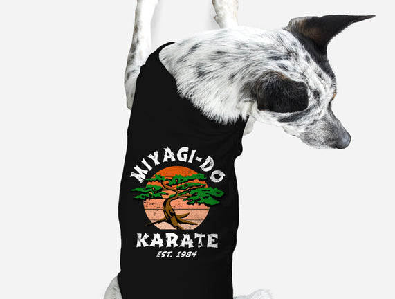 Miyagi Karate