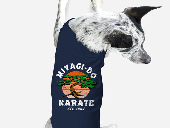 Miyagi Karate