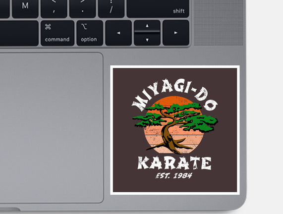 Miyagi Karate