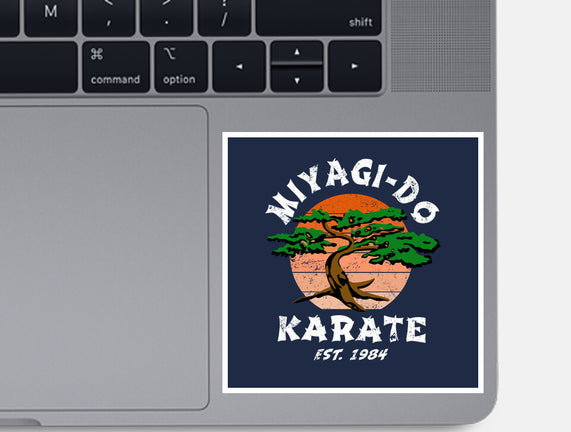 Miyagi Karate