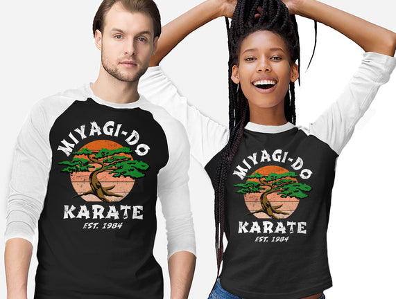 Miyagi Karate