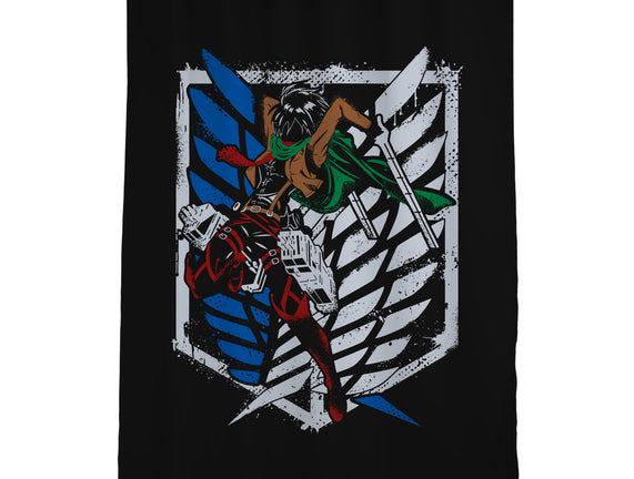 Mikasa Fighting