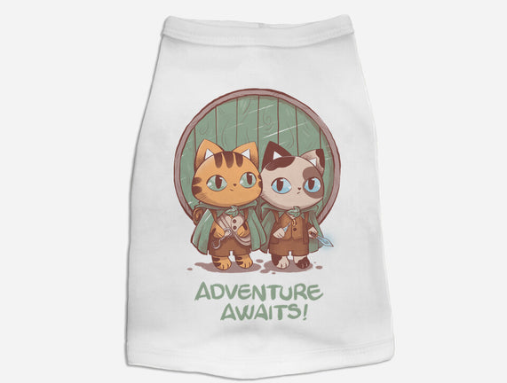 Kitten Adventure Awaits