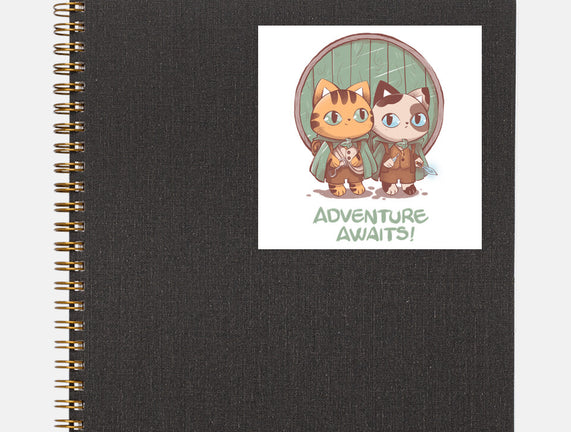 Kitten Adventure Awaits