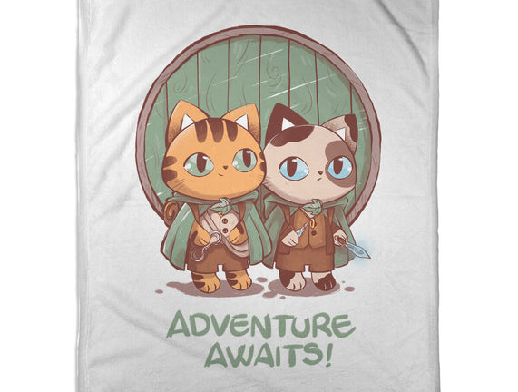 Kitten Adventure Awaits