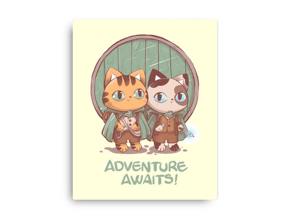 Kitten Adventure Awaits