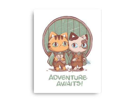 Kitten Adventure Awaits