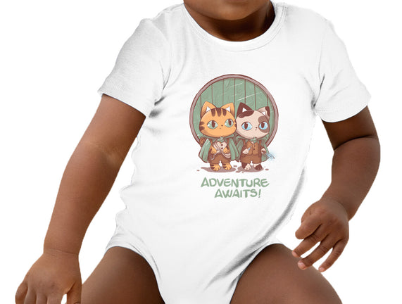 Kitten Adventure Awaits