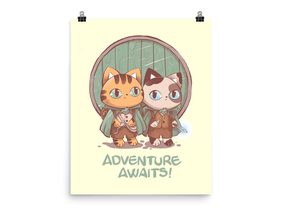 Kitten Adventure Awaits