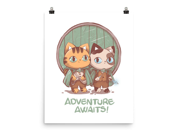 Kitten Adventure Awaits