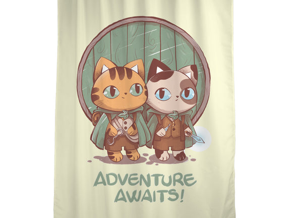 Kitten Adventure Awaits