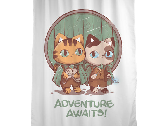 Kitten Adventure Awaits