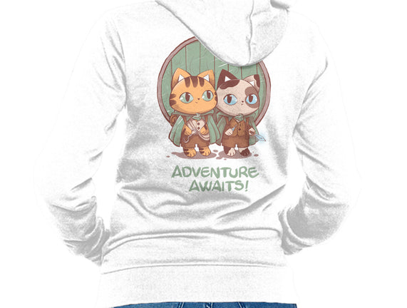 Kitten Adventure Awaits