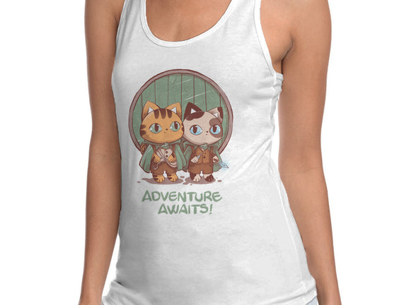 Kitten Adventure Awaits