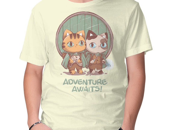 Kitten Adventure Awaits