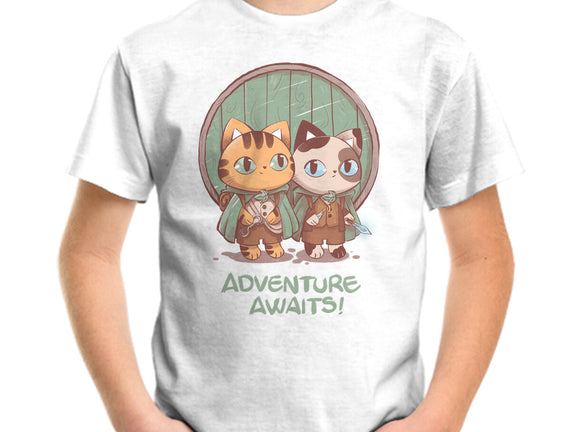 Kitten Adventure Awaits
