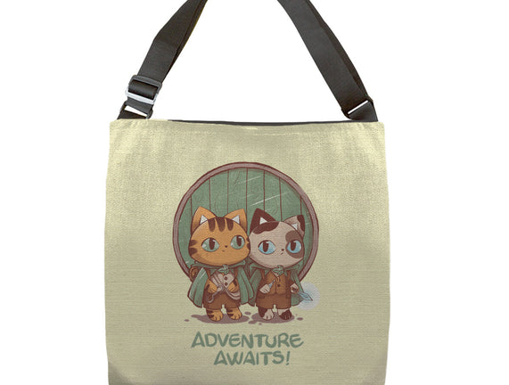 Kitten Adventure Awaits