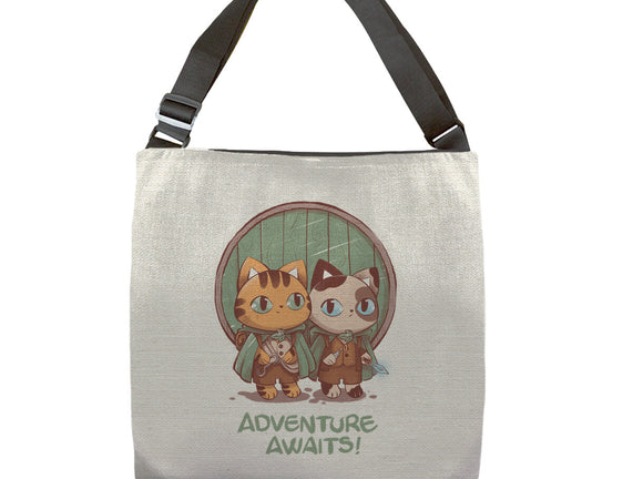 Kitten Adventure Awaits