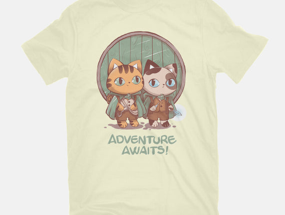 Kitten Adventure Awaits