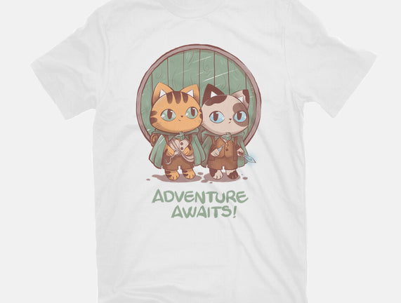 Kitten Adventure Awaits