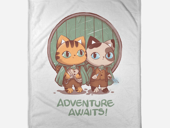 Kitten Adventure Awaits