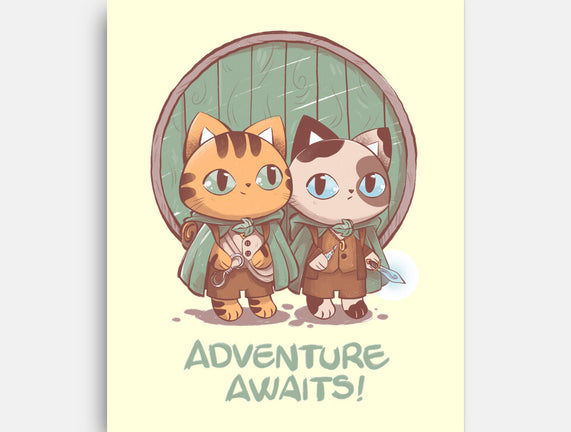 Kitten Adventure Awaits