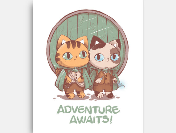 Kitten Adventure Awaits