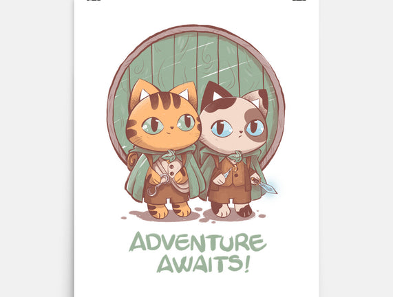 Kitten Adventure Awaits