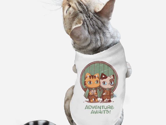 Kitten Adventure Awaits