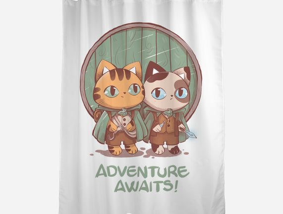 Kitten Adventure Awaits