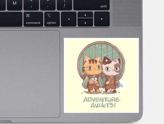 Kitten Adventure Awaits