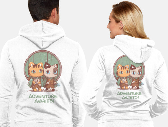 Kitten Adventure Awaits