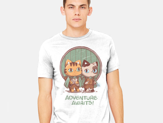 Kitten Adventure Awaits