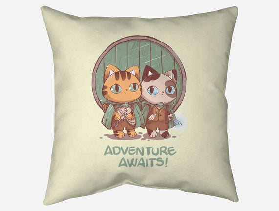Kitten Adventure Awaits