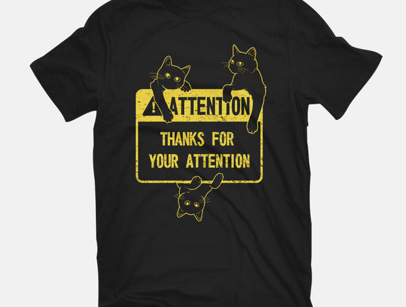 Thanks For Your Attention