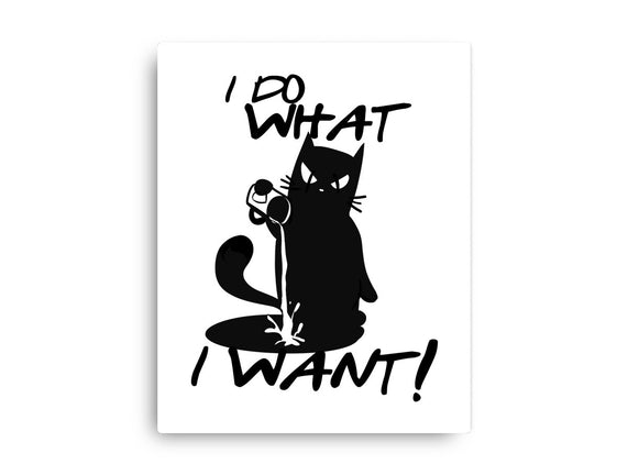 I Do What I Want