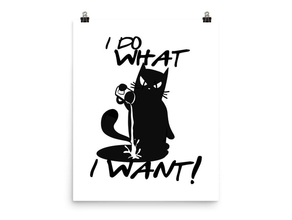 I Do What I Want