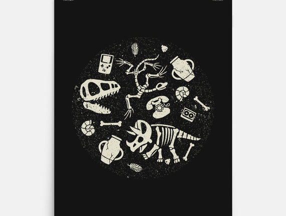 Dinosaur Fossils