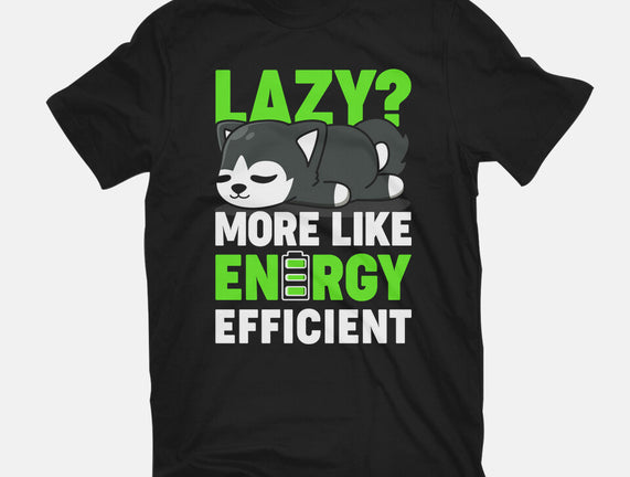 Energy Efficient