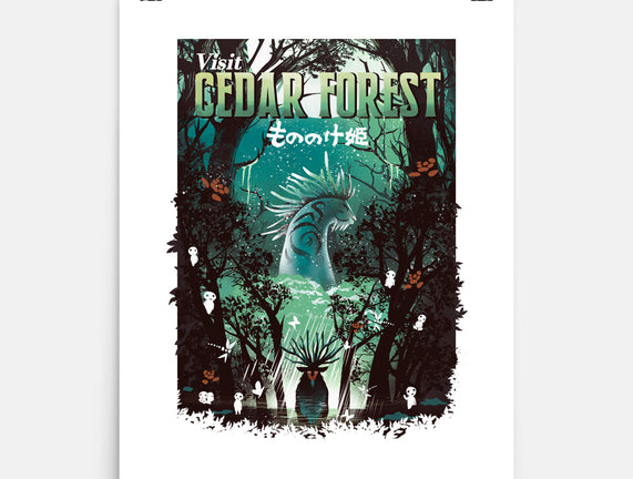 Visit Cedar Forest